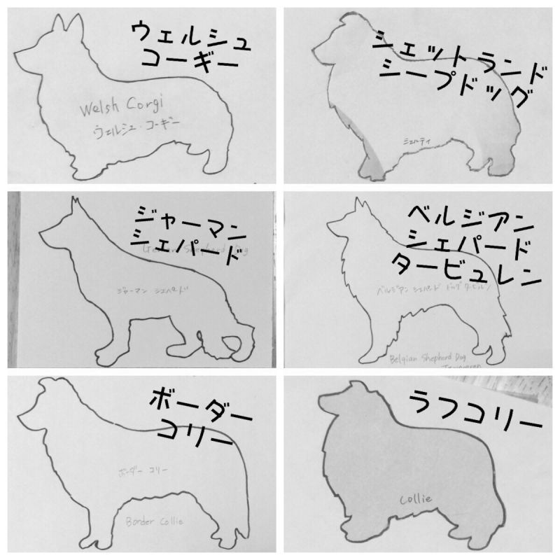 犬種シルエット